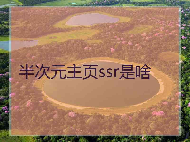 半次元主页ssr是啥 半次元主页ssr是啥