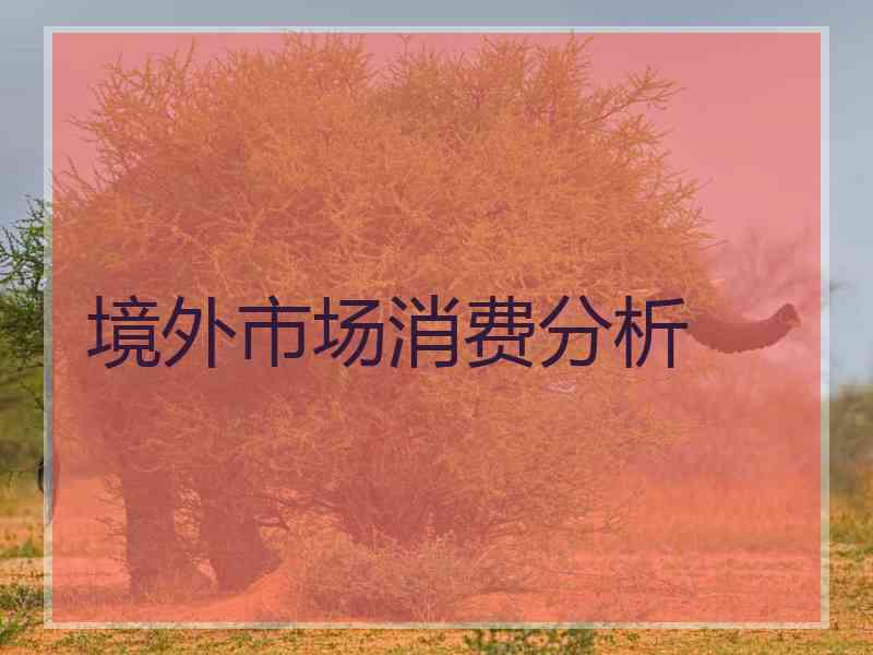 境外市场消费分析 境外市场消费分析
