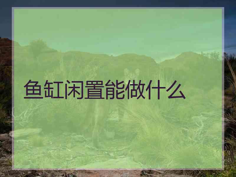 鱼缸闲置能做什么 鱼缸闲置能做什么