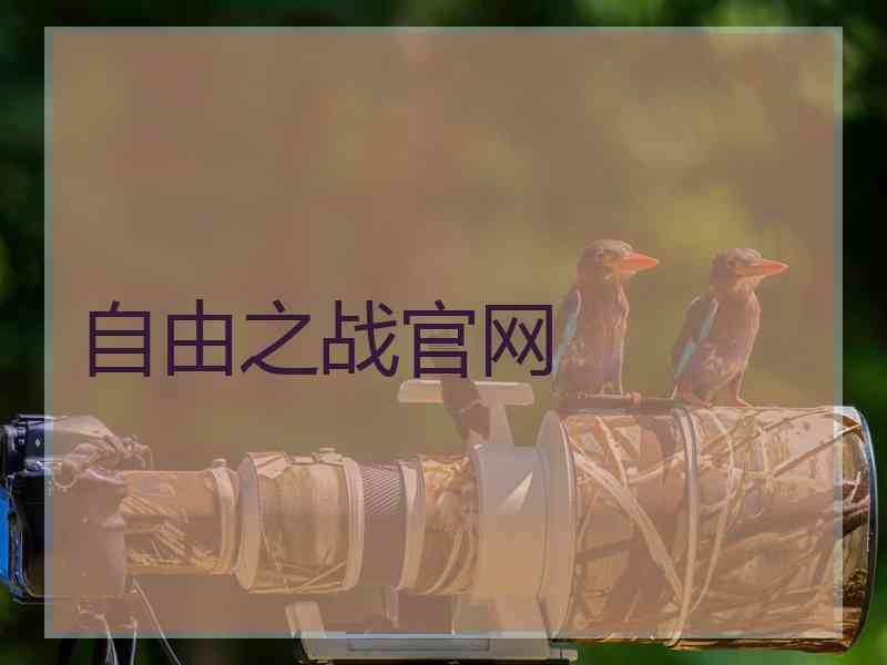 自由之战官网 自由之战官网