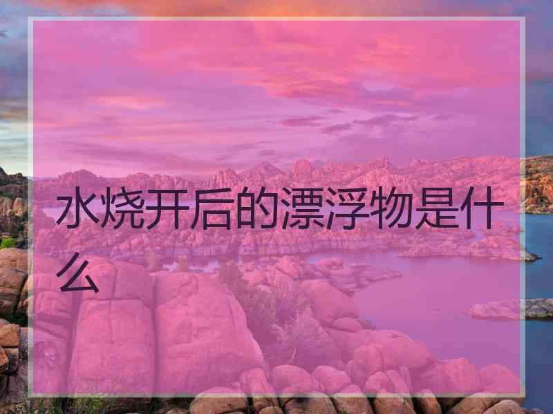 水烧开后的漂浮物是什么 水烧开后的漂浮物是什么