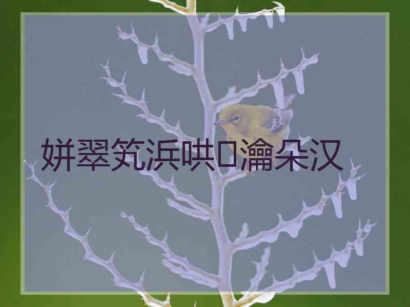 姘翠笂浜哄瀹朵汉 姘翠笂浜哄瀹朵汉