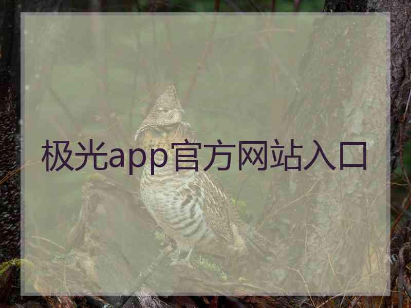 极光app官方网站入口 极光app官方网站入口