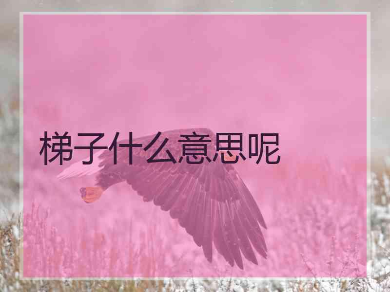 梯子什么意思呢 梯子什么意思呢