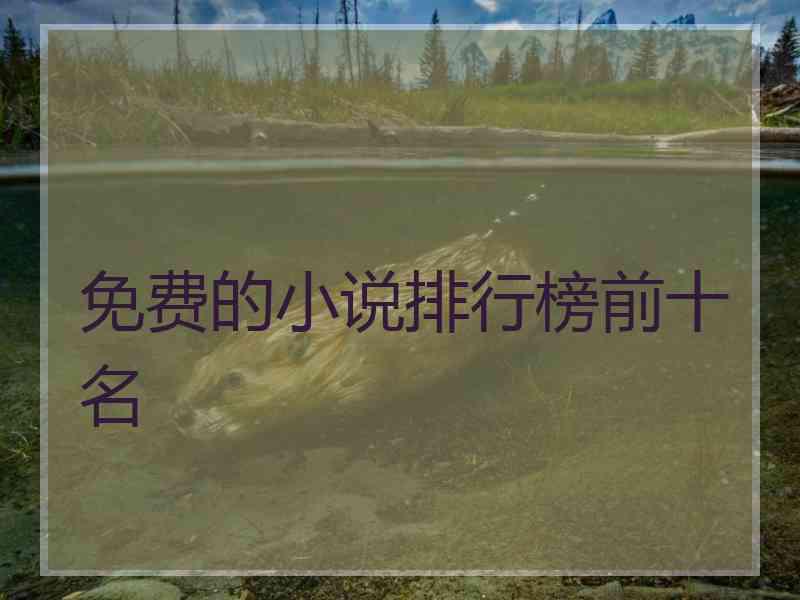 免费的小说排行榜前十名 免费的小说排行榜前十名