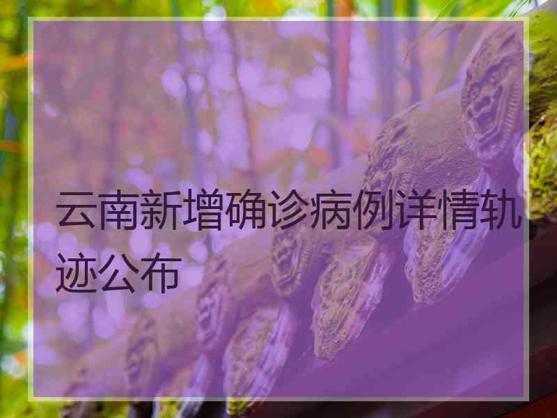 云南新增确诊病例详情轨迹公布 云南新增确诊病例详情轨迹公布