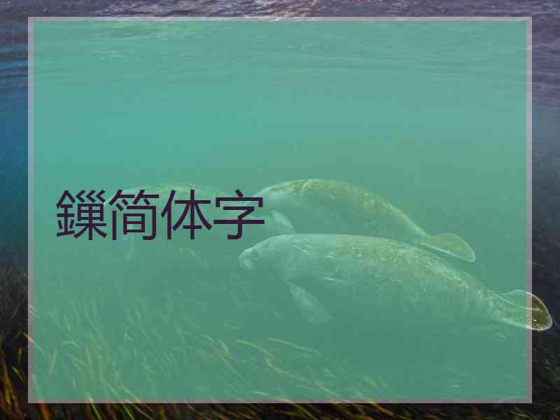 鏁简体字 鏁简体字