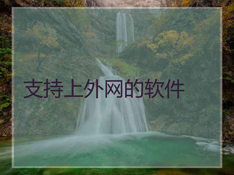支持上外网的软件 支持上外网的软件