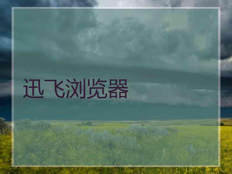 迅飞浏览器 迅飞浏览器