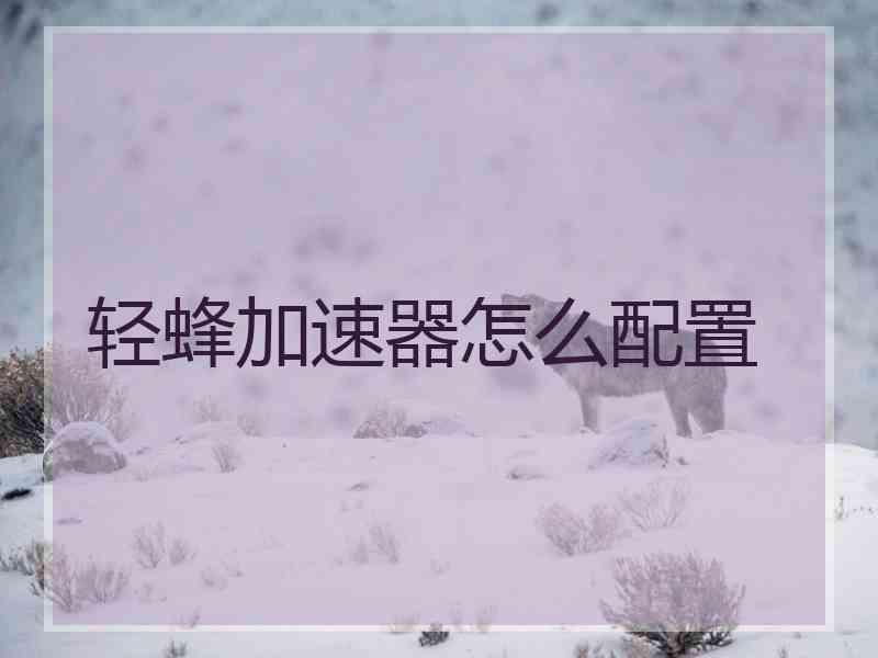 轻蜂加速器怎么配置 轻蜂加速器怎么配置