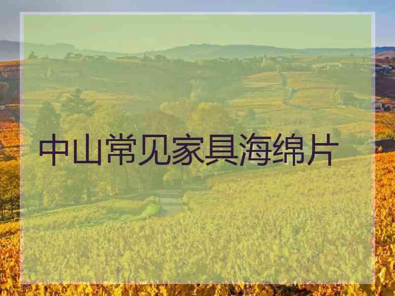 中山常见家具海绵片 中山常见家具海绵片