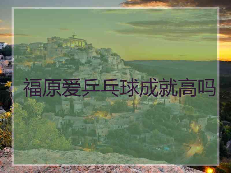 福原爱乒乓球成就高吗 福原爱乒乓球成就高吗