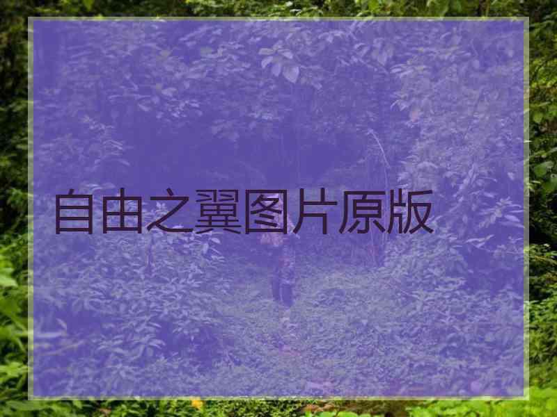 自由之翼图片原版 自由之翼图片原版