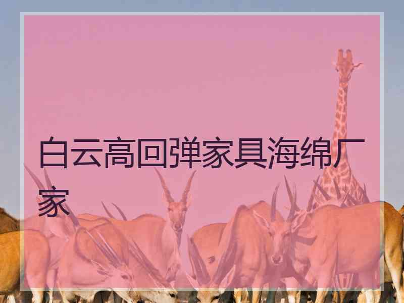 白云高回弹家具海绵厂家 白云高回弹家具海绵厂家