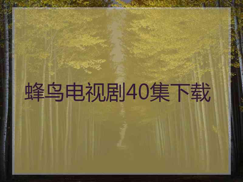 蜂鸟电视剧40集下载 蜂鸟电视剧40集下载