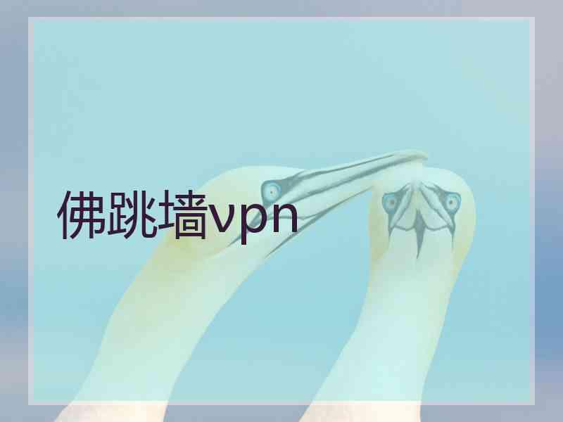 佛跳墙νpn 佛跳墙νpn