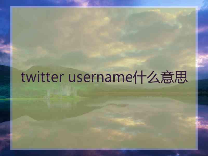 twitter username什么意思 twitter username什么意思