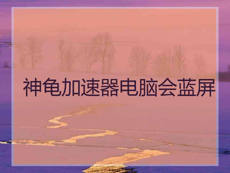 神龟加速器电脑会蓝屏 神龟加速器电脑会蓝屏