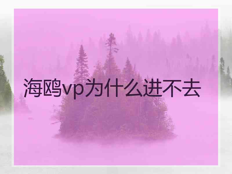 海鸥vp为什么进不去 海鸥vp为什么进不去