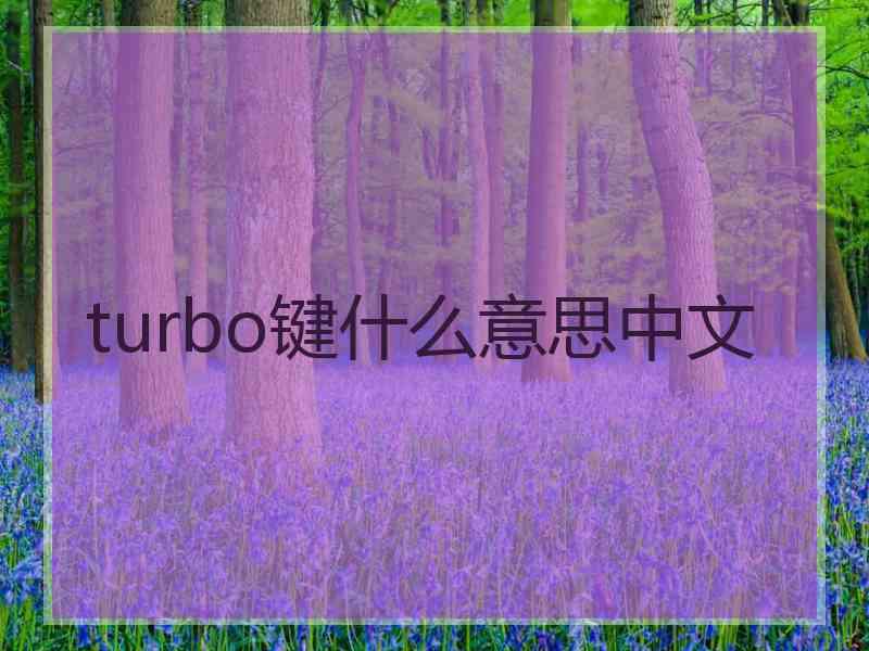 turbo键什么意思中文 turbo键什么意思中文