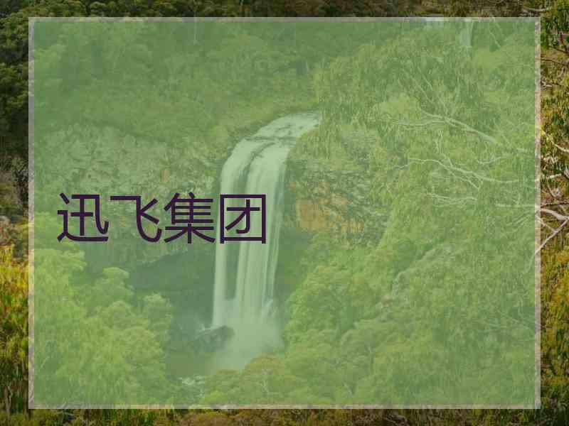 迅飞集团 迅飞集团