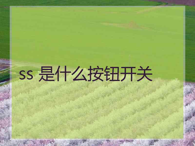 ss 是什么按钮开关 ss 是什么按钮开关