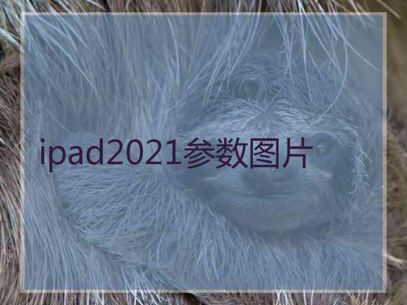 ipad2021参数图片 ipad2021参数图片
