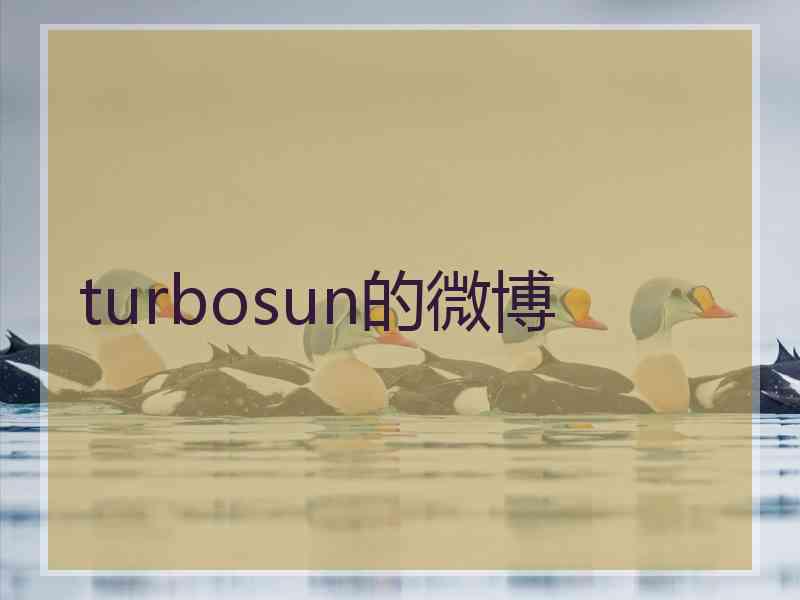 turbosun的微博 turbosun的微博