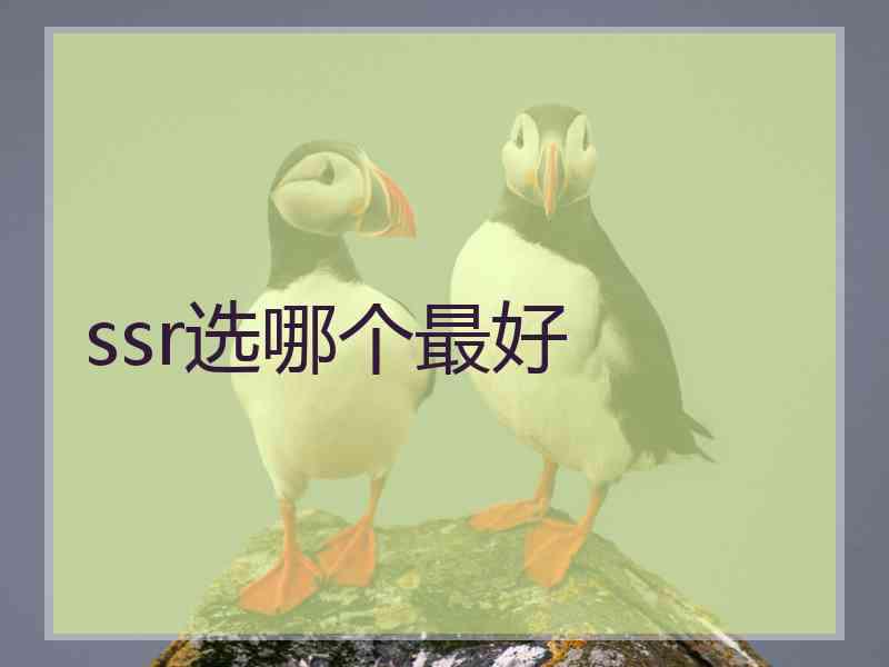 ssr选哪个最好 ssr选哪个最好