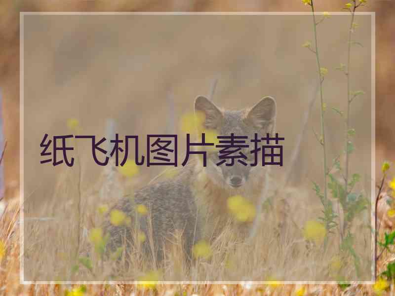 纸飞机图片素描 纸飞机图片素描