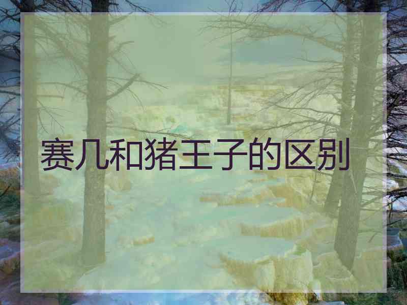 赛几和猪王子的区别 赛几和猪王子的区别