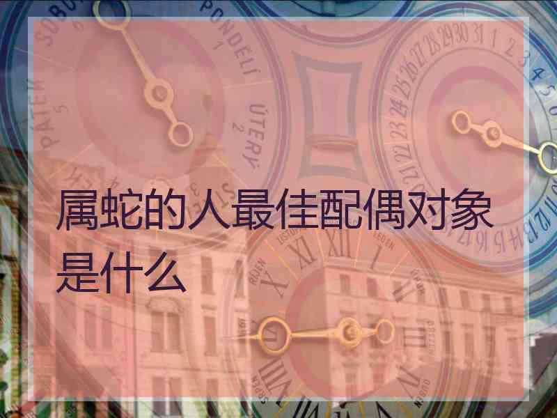 属蛇的人最佳配偶对象是什么 属蛇的人最佳配偶对象是什么