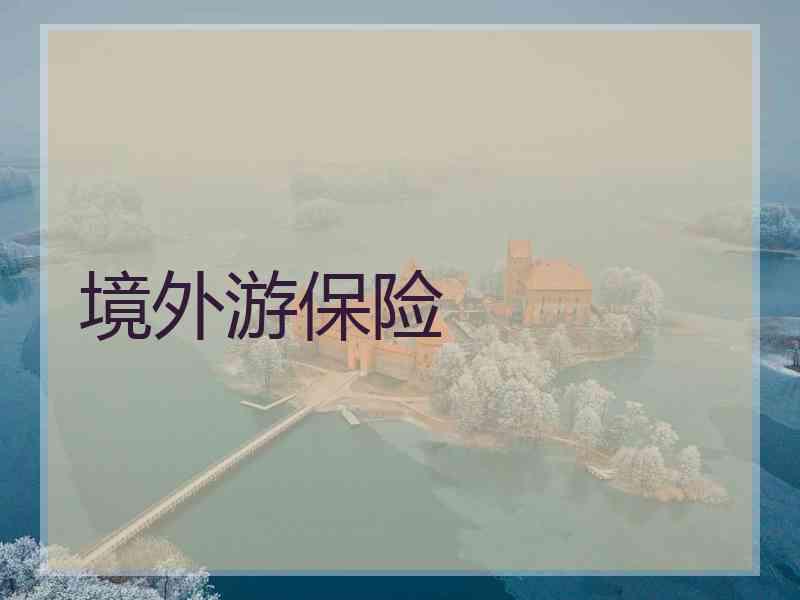 境外游保险 境外游保险