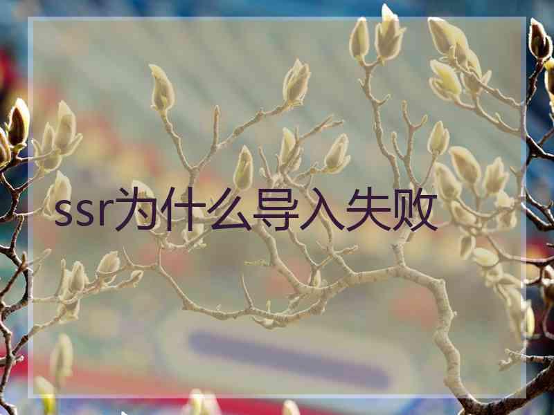 ssr为什么导入失败 ssr为什么导入失败