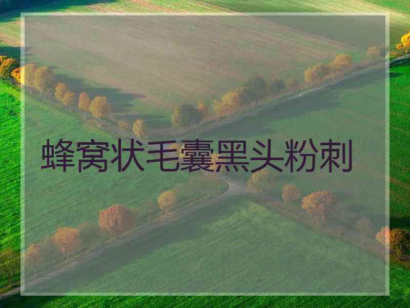 蜂窝状毛囊黑头粉刺 蜂窝状毛囊黑头粉刺