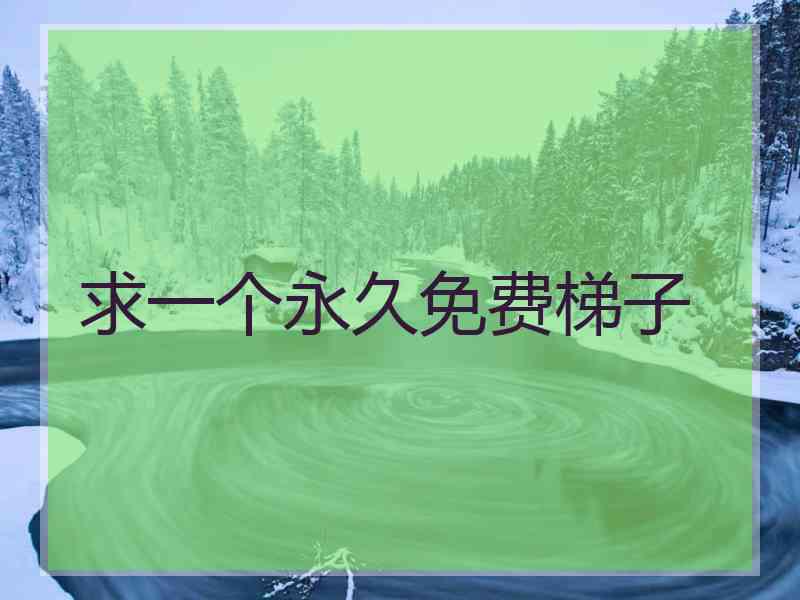 求一个永久免费梯子 求一个永久免费梯子