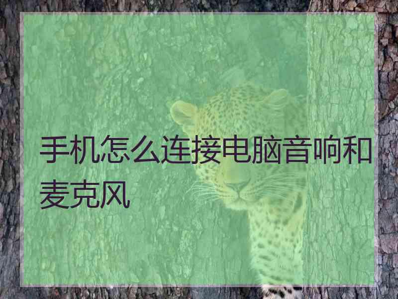 手机怎么连接电脑音响和麦克风 手机怎么连接电脑音响和麦克风