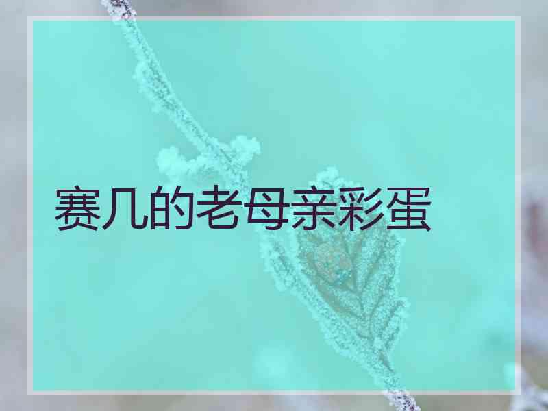 赛几的老母亲彩蛋 赛几的老母亲彩蛋