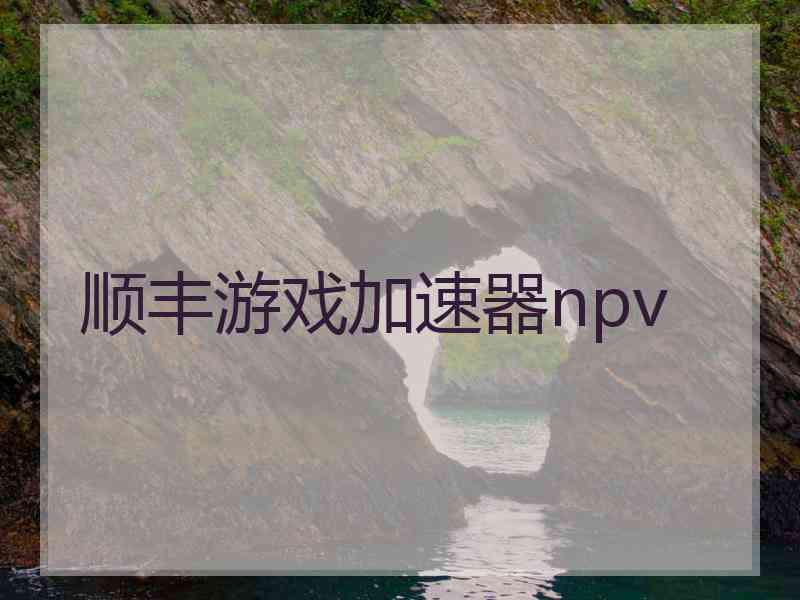 顺丰游戏加速器npv 顺丰游戏加速器npv