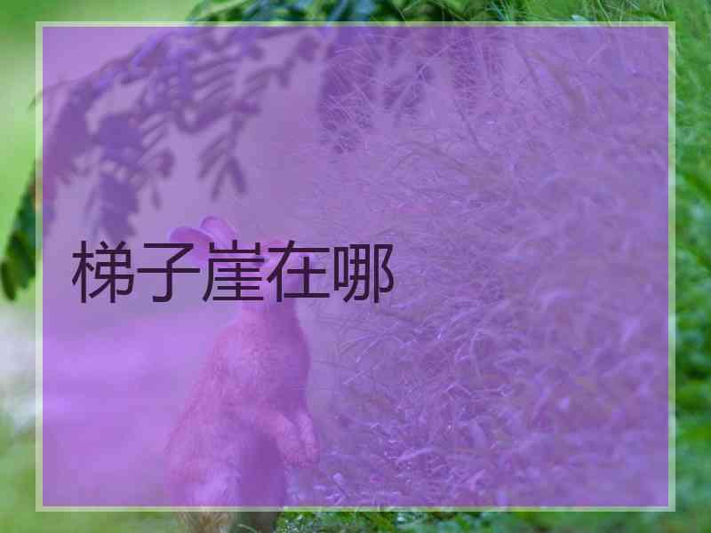 梯子崖在哪 梯子崖在哪