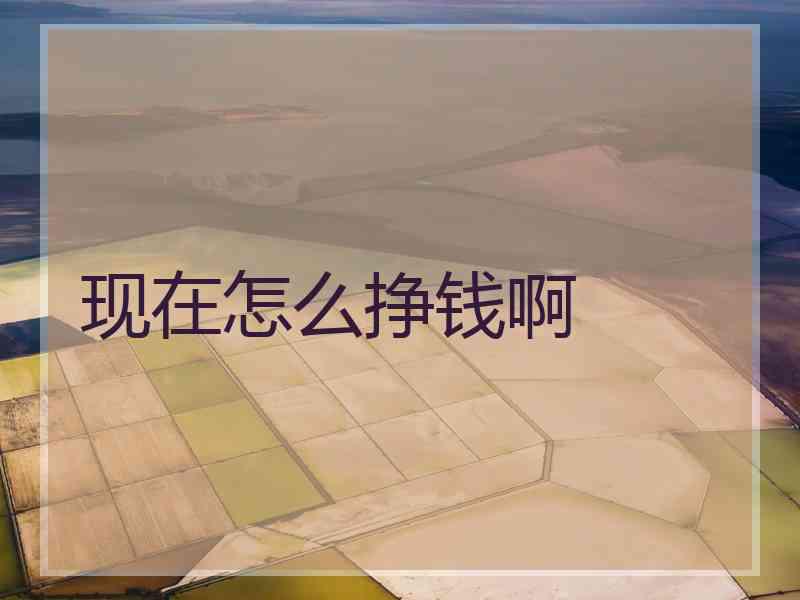 现在怎么挣钱啊 现在怎么挣钱啊