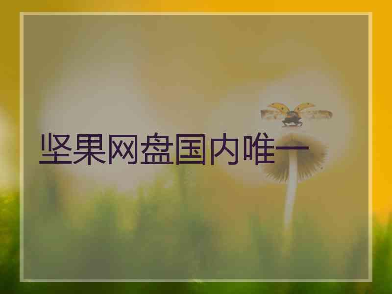 坚果网盘国内唯一 坚果网盘国内唯一