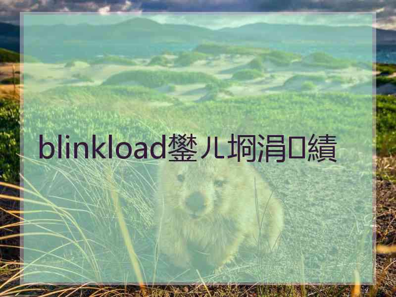 blinkload鐢ㄦ埛涓績 blinkload鐢ㄦ埛涓績