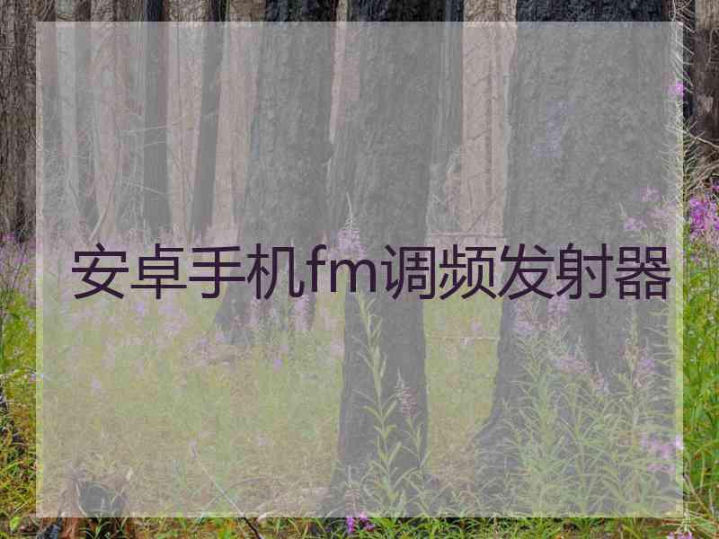 安卓手机fm调频发射器 安卓手机fm调频发射器