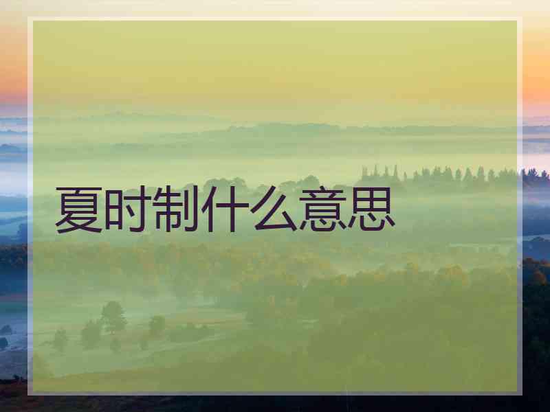 夏时制什么意思 夏时制什么意思