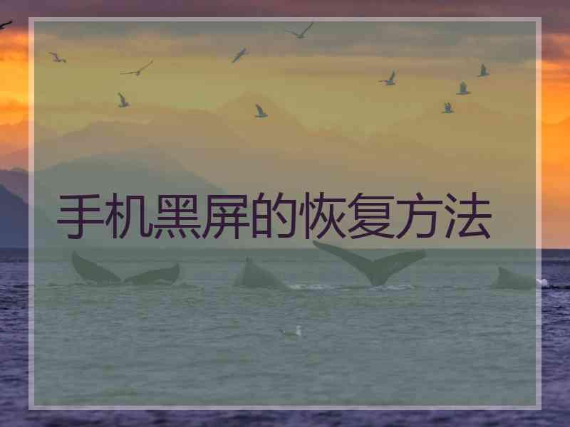 手机黑屏的恢复方法 手机黑屏的恢复方法