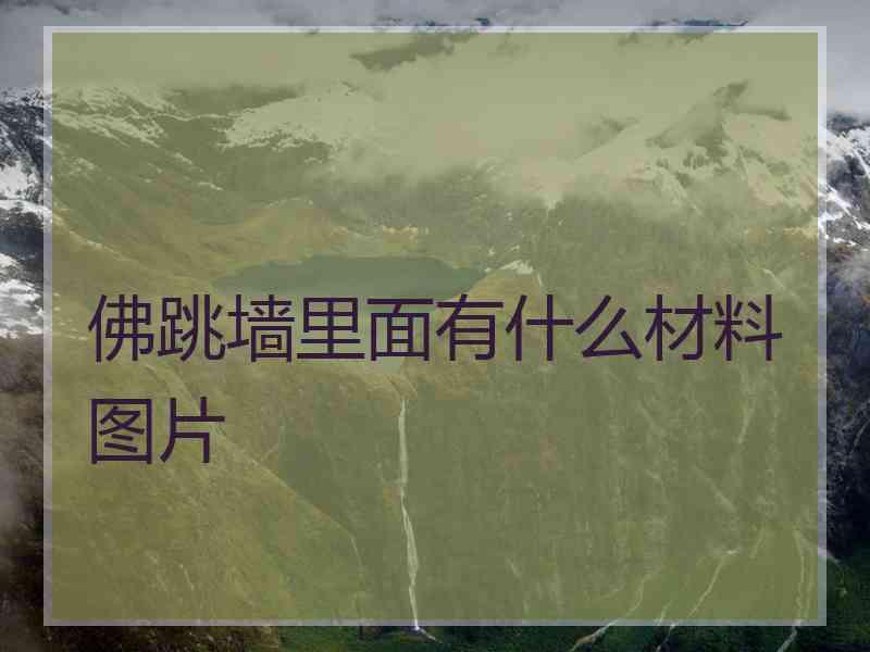 佛跳墙里面有什么材料图片 佛跳墙里面有什么材料图片