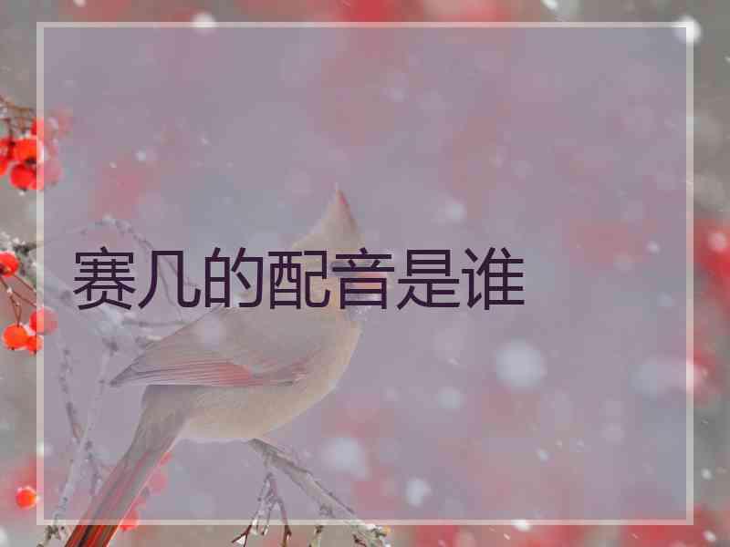 赛几的配音是谁 赛几的配音是谁