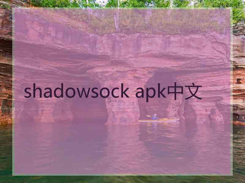 shadowsock apk中文
