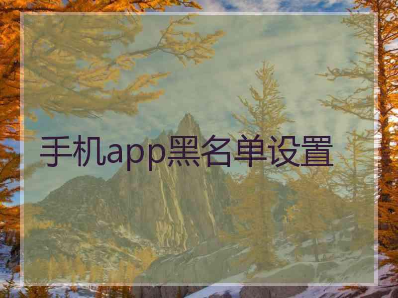 手机app黑名单设置 手机app黑名单设置